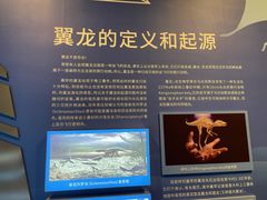 -安徽省地质博物馆
