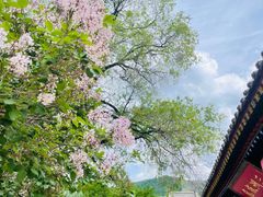 -五台山风景区