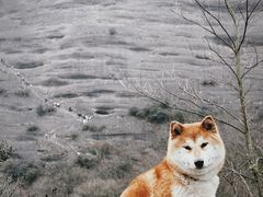 -剑门关风景区