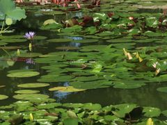 -国家植物园南园