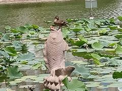 -团结湖公园