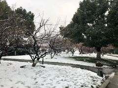 -荆川公园
