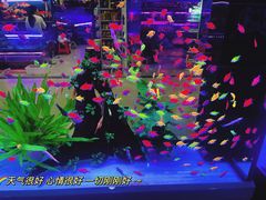 -三旗百汇商品城