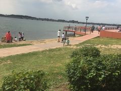 -丁香湖公园