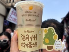 -猫的魔法密林(衣裳街店)