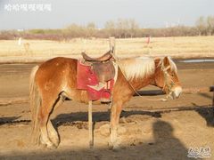 13-赛汗塔拉风情园