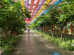 -南宫五洲植物乐园