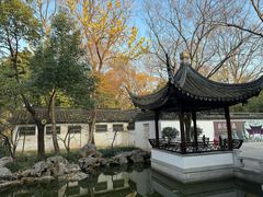 -秋霞圃