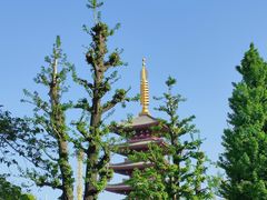 -浅草寺