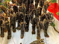 -亚马逊蒸汽活海鲜自助(LCM置汇旭辉广场店)