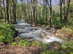 -玉渡山自然风景区