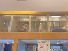 -悠尼宠物·独立低压伊珊娜洗护·美容·寄养(兰谷路店)