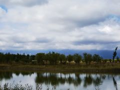 -野鸭湖国家湿地公园