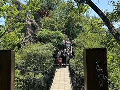 -秦岭终南山世界地质公园翠华山景区