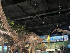 -国家自然博物馆