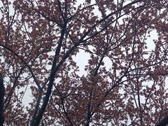 -滆湖低碳生态公园