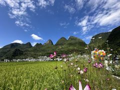 -万峰林风景区