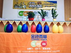 -金色雨林学习力培优(专注力提升)
