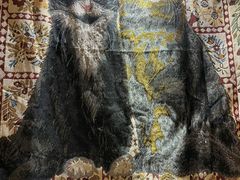-平行世界·猫咖(首经贸店)