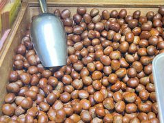 -粒上皇(市桥易发商业街店)