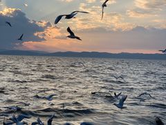 -捞渔河湿地公园