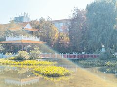 -东山湖公园