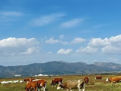-敕勒川草原文化旅游区