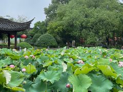 -丝绸小镇荻港古村