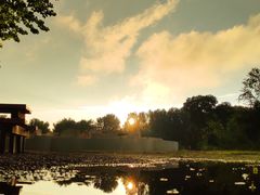 -紫海香堤香草艺术庄园
