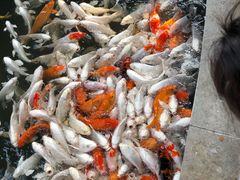 -南宫五洲植物乐园