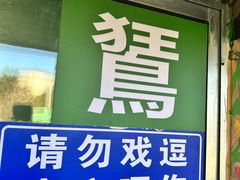 -西霞口神雕山野生动物世界