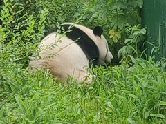 -沈阳森林动物园