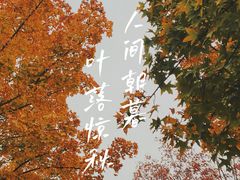 -北宫国家森林公园