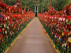 -西双版纳原始森林公园