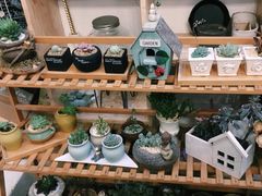 零售区-Kitchen·Y洋厨房西餐厅(王府壹号店)