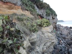 -硇洲岛旅游区