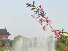 -南汇桃花村