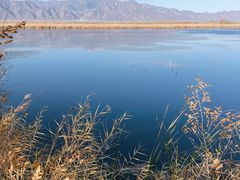 -野鸭湖国家湿地公园