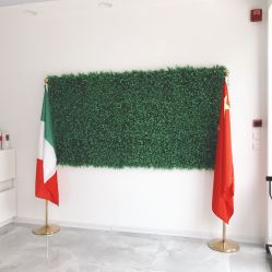 -莱可美科技美肤