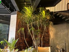 -J Create城市露营咖啡·简餐·宠物(上海动物园店)