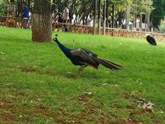 -昆明动物园