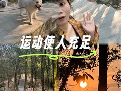 -火炉山森林公园