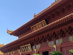 -深圳仙湖植物园