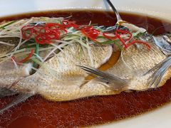 -丹江渔村(望京店)