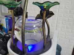 -四海蒸鲜蒸汽海鲜自助(北戴河店)