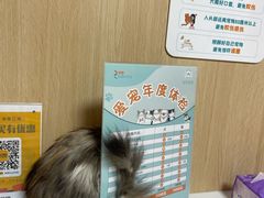 -谐和益家动物医院·免疫绝育·血液透析·宠保定点医院(高新伊藤分院)