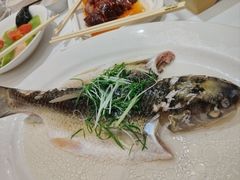 -稻香酒家·35年老字号(侨光店)