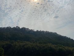 -滴水岩森林公园