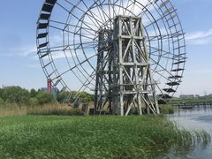-太湖湖滨国家湿地公园-停车场