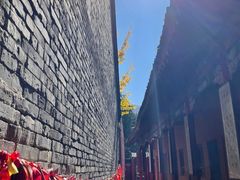 -少华山国家森林公园